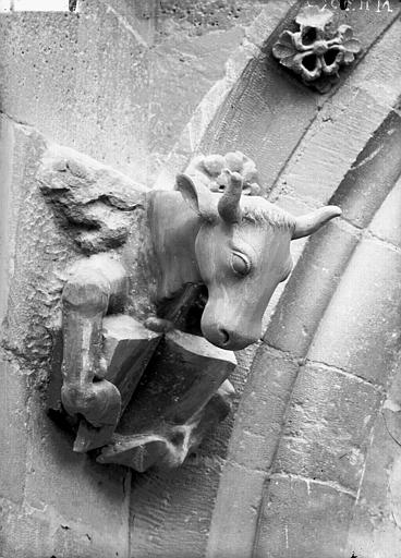 Bras nord du transept, le boeuf de saint Luc, après restauration