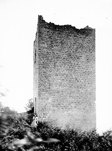 Ruines du donjon