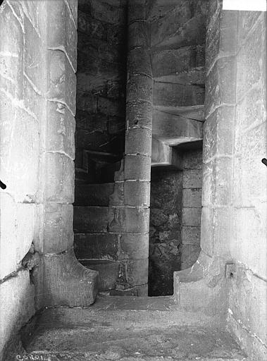 Façade ouest, escalier d'une tourelle