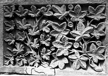 Panneau de boiserie, bas-relief : feuillages