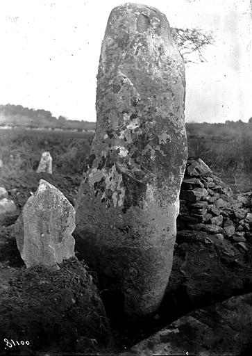 Menhir avec des serpents