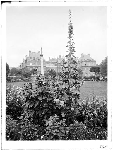 Vue du jardin