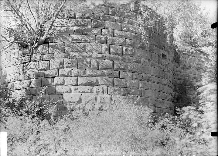 Ruines du château de Hohenack (petit Honack)