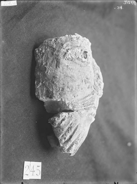 Fouille de Cluny, fragment de sculpture, tête du grand portail  (245)