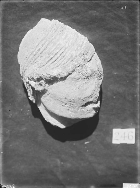 Fouille de Cluny, fragment de sculpture, tête du grand portail  (246)