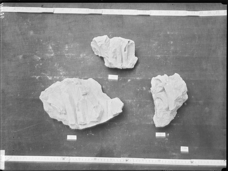 Fouille de Cluny, fragment de sculpture, feuillage de chapiteau