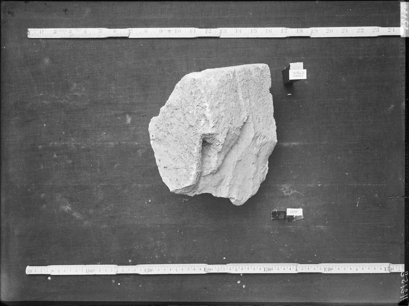 Fouille de Cluny, fragment de sculpture, feuillage de chapiteau  (2808 2)