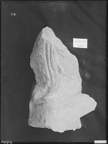 Fouille de Cluny, fragment de sculpture, tête (3906)