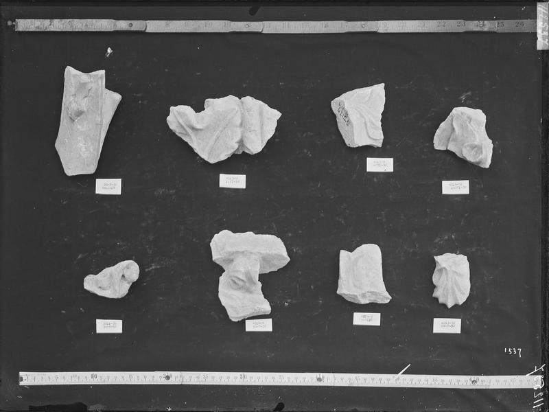 Fouille de Cluny, fragment de sculpture, feuillage et serpentine