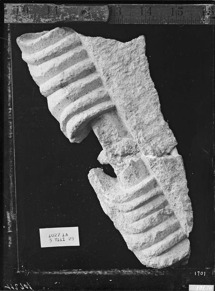 Fouille de Cluny, fragment de sculpture, feuillage de l'archivolte  du portail grandeur nature (1027 1 A B)