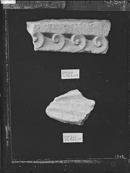 Fouille de Cluny, fragment de sculpture, feuillage et escargot du  portail