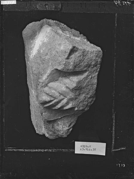 Fouille de Cluny, fragment de sculpture, feuillage d'archivolte  (4910 2)