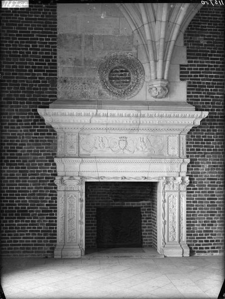 Salle des Etats, cheminée