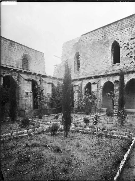 Jardin du cloître