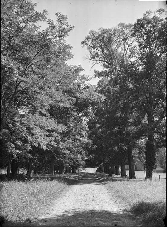 Vue du parc