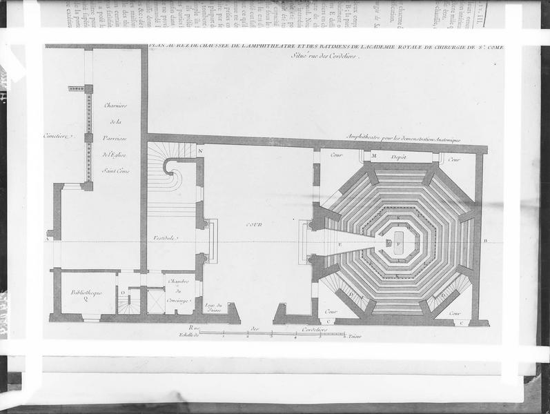 Plan du rez-de-chaussée. Plan du rez-de-chaussée