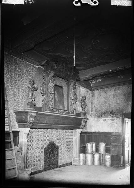 Grande cheminée et boiserie du plafond