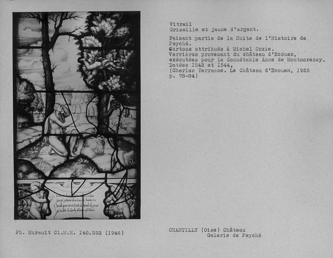 Vitrail en grisaille et jaune d'argent dans la galerie de Psyché : Histoire de Psyché