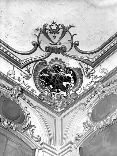 Grand salon : cartouche, angle de la corniche