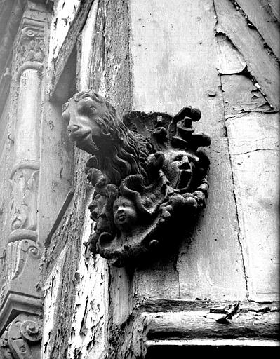 Tête de bélier sculptée sur façade : détail