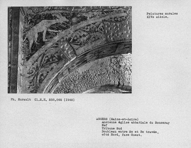Tribune sud de la nef, peinture murale de l'écoinçon de la face ouest côté nord du doubleau entre deuxième et troisième travées : chèvre