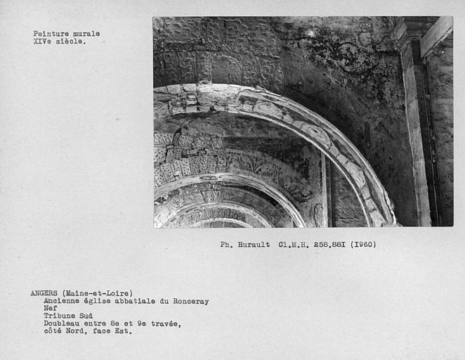 Tribune sud de la nef, peinture murale de l'écoinçon de la face est côté nord du doubleau entre 8ème et 9ème travées : rinceaux