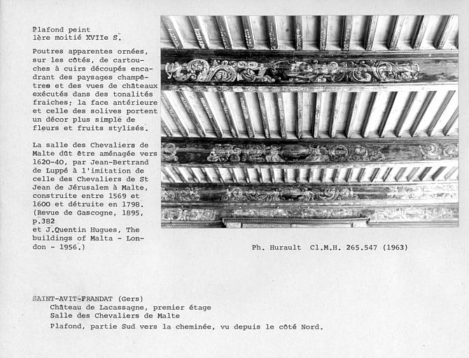 Plafond peint de la salle des Chevaliers de Malte, partie sud vers la cheminée, vu depuis le côté nord. Poutres apparentes ornées, sur les côtés, de cartouches à cuirs découpés encadrant des paysages champêtres et des vues de châteaux exécutés dans des to