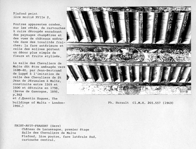 Plafond peint de la salle des Chevaliers de Malte, cartouche central de la première poutre face à la cheminée. Poutres apparentes ornées, sur les côtés, de cartouches à cuirs découpés encadrant des paysages champêtres et des vues de châteaux exécutés dans