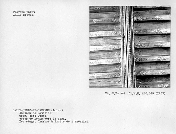 Cour intérieure nord côté ouest, plafond peint de la chambre à droite de l'escalier au premier étage du pavillon