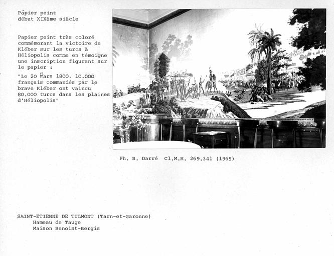 Angle nord-ouest du salon, papier peint commémorant la Victoire de Kléber sur les Turcs à Héliopolis
