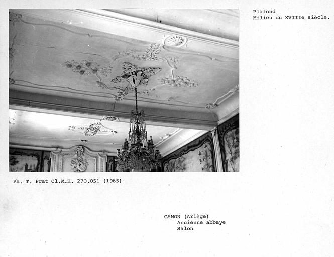 Gypserie du plafond du salon