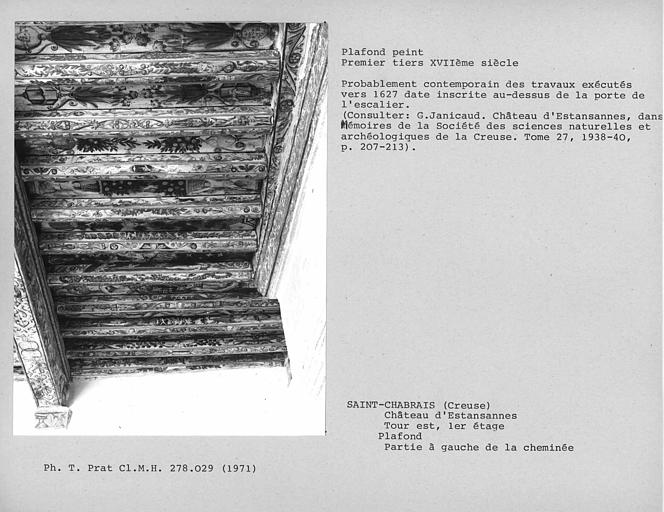 Plafond peint du premier étage de la tour, ensemble de la partie entre la poutre centrale et la cheminée, vers la porte