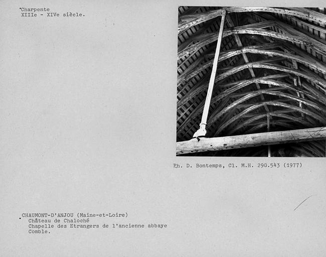 Charpente du comble de l'ancienne chapelle des étrangers à l'ouest des bâtiments conventuels