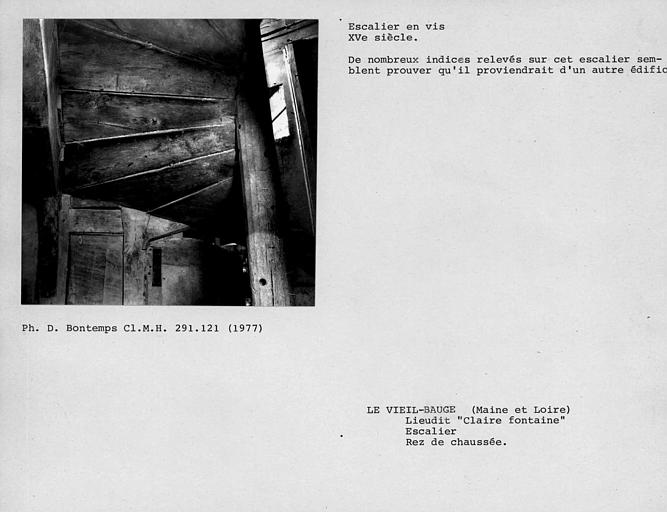Marches de l'escalier en vis