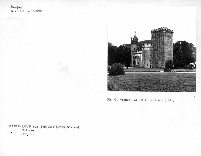 Château. Vue d'ensemble du château et du donjon