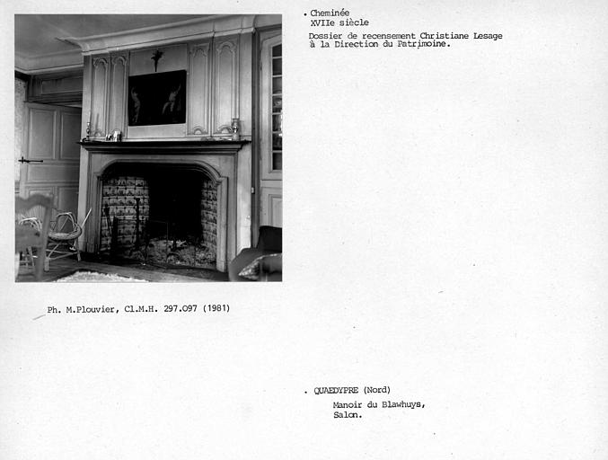 Cheminée du salon