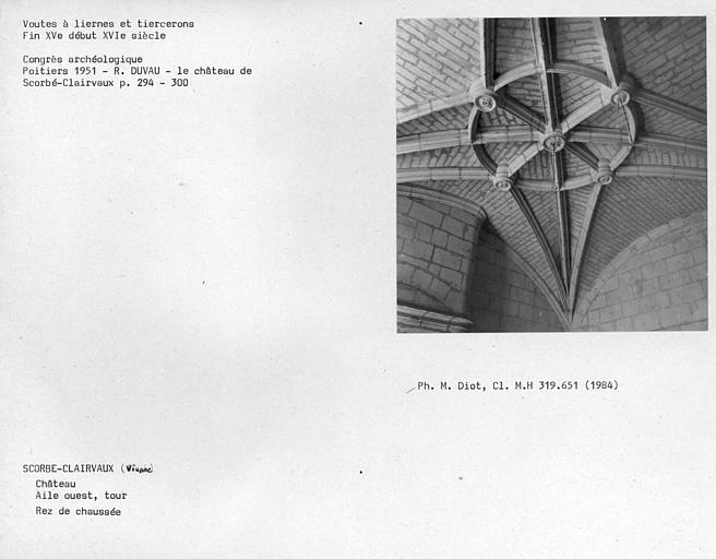 Tour de l'aile du 15e siècle, plafond de la pièce au rez-de-chaussée, voûte à liernes et tiercerons