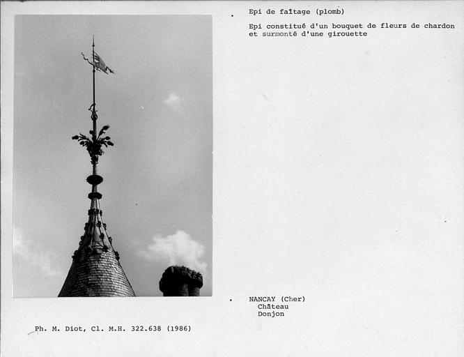 Epi de faîtage en plomb du donjon représentant des fleurs de chardons et surmonté d'une girouette