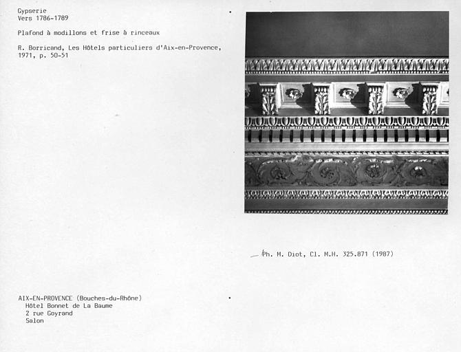 Plafond à modillons et frise à rinceaux du salon