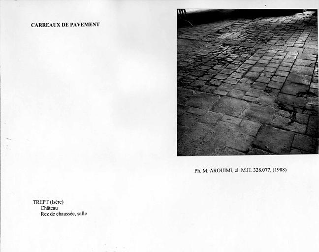 Carreaux de pavement de la salle du rez-de-chaussée