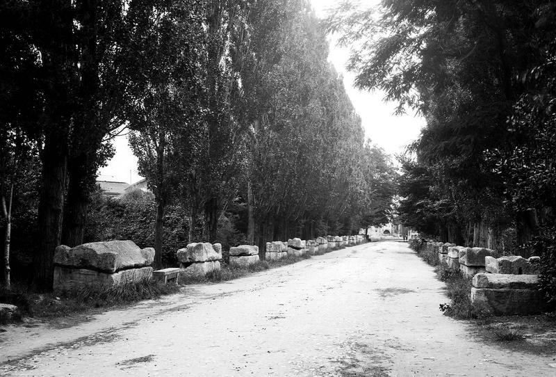 Allée bordée de sarcophages