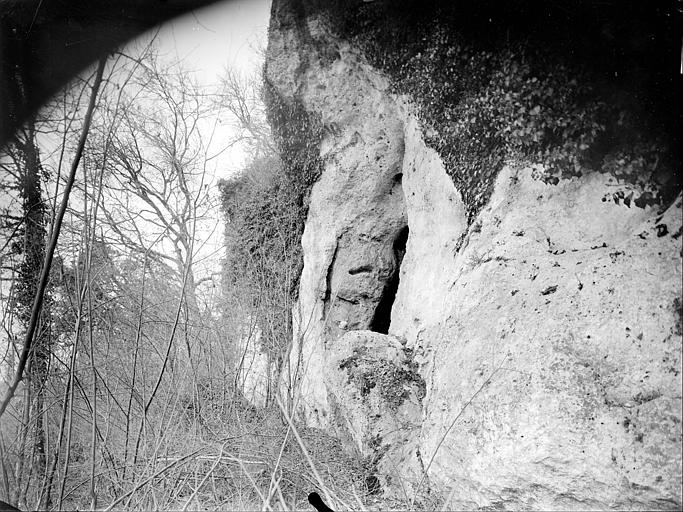 Grottes des Cottes : Abri du Têtard