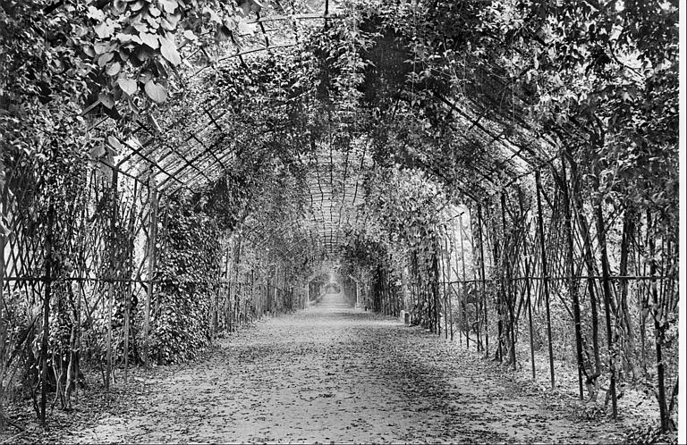 Parc : allée du Berceau de fer de Marie-Louise