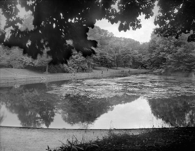 Abords : parc, étang