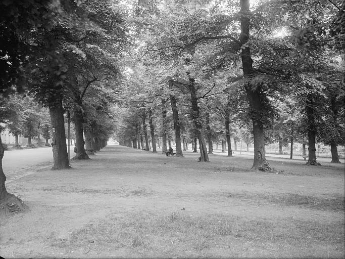 Abords : parc, allée