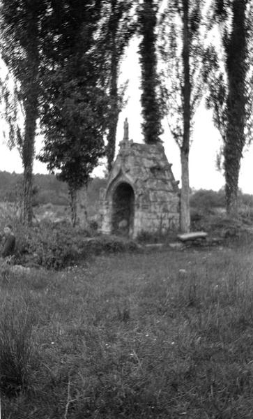 Vue d'ensemble au milieu des arbres