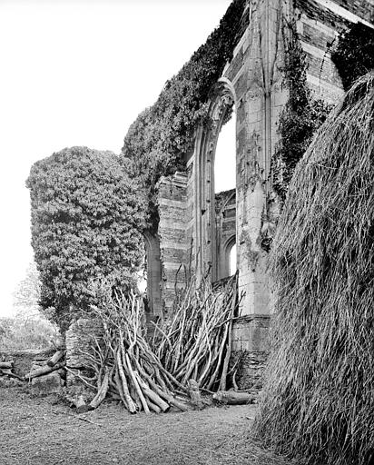 Chapelle en ruines : Côté extérieur nord