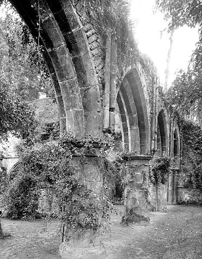 Eglise abbatiale en ruines : Arcades de la nef