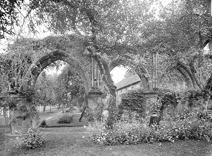 Eglise abbatiale en ruines : Arcades de la nef