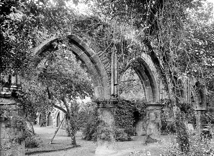 Eglise abbatiale en ruines : Arcades de la nef